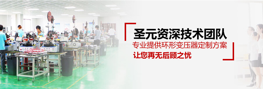 圣元變壓器技術(shù)團(tuán)隊