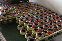 圣元環(huán)形變壓器待測試當中