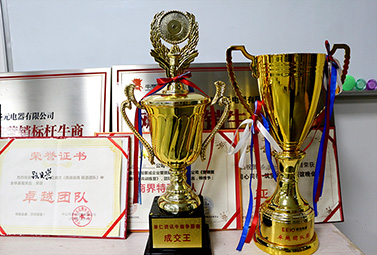圣元電器團(tuán)隊榮譽獎杯